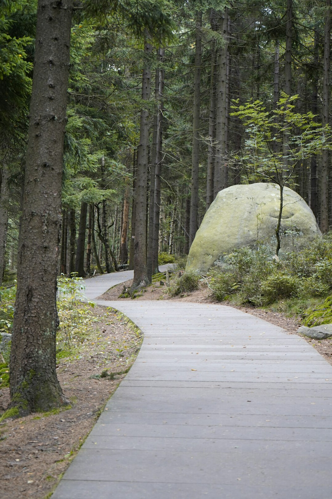 hiker on polish mountain trail