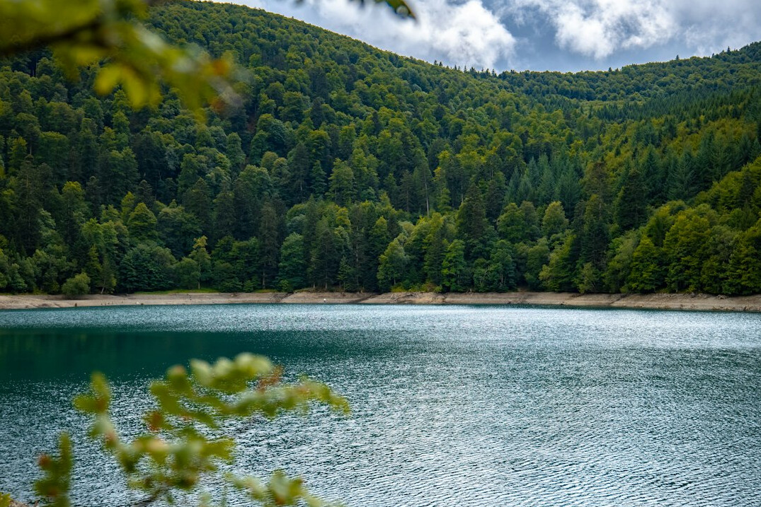 Quiet lake surrounded by forested hills