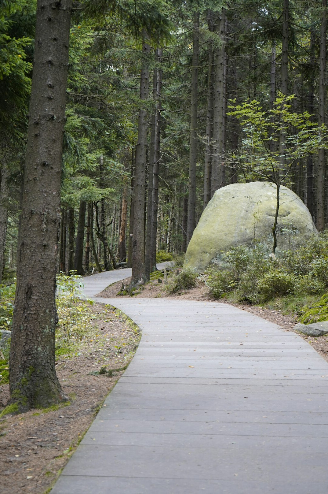 poland eco travel