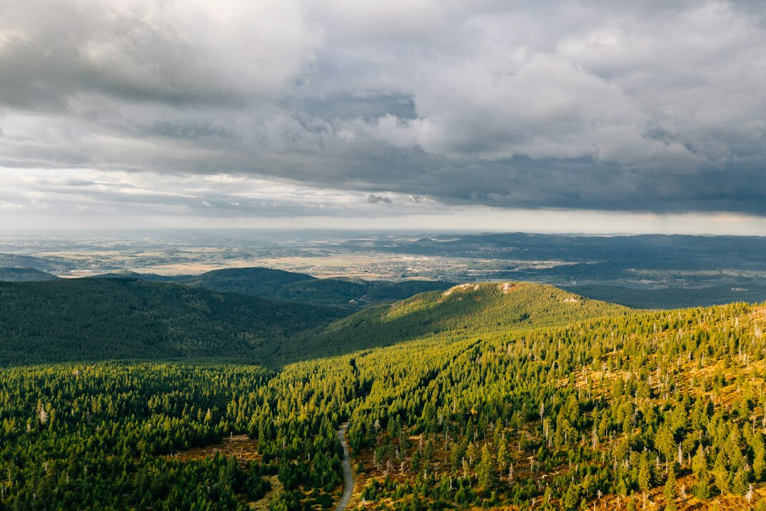 forest trail in sudetes poland